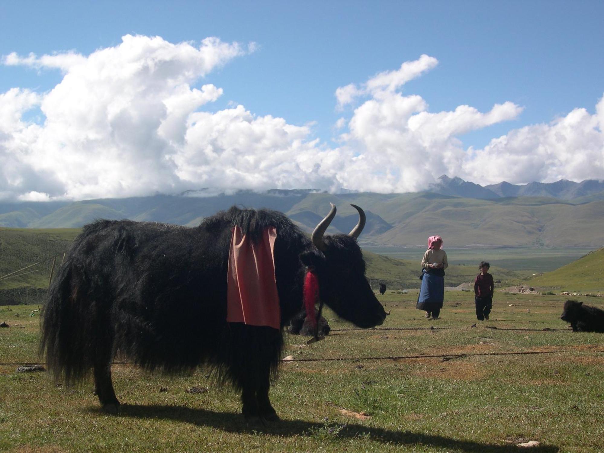 B&B Piccolo Tibet Lavenone Εξωτερικό φωτογραφία